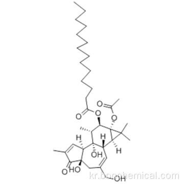 PHORBOL 12-MYRISTATE 13- 아세테이트 CAS 16561-29-8